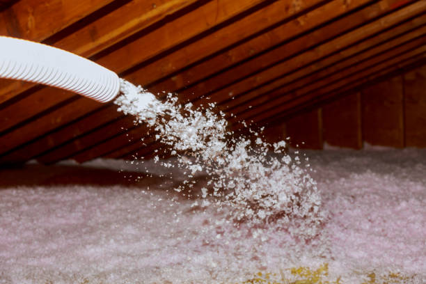 Best Eco-Friendly Insulation in Dade City North, FL