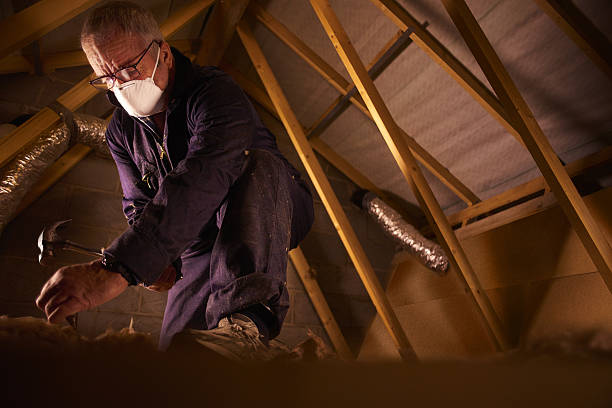 Best Cellulose Insulation in Dade City North, FL